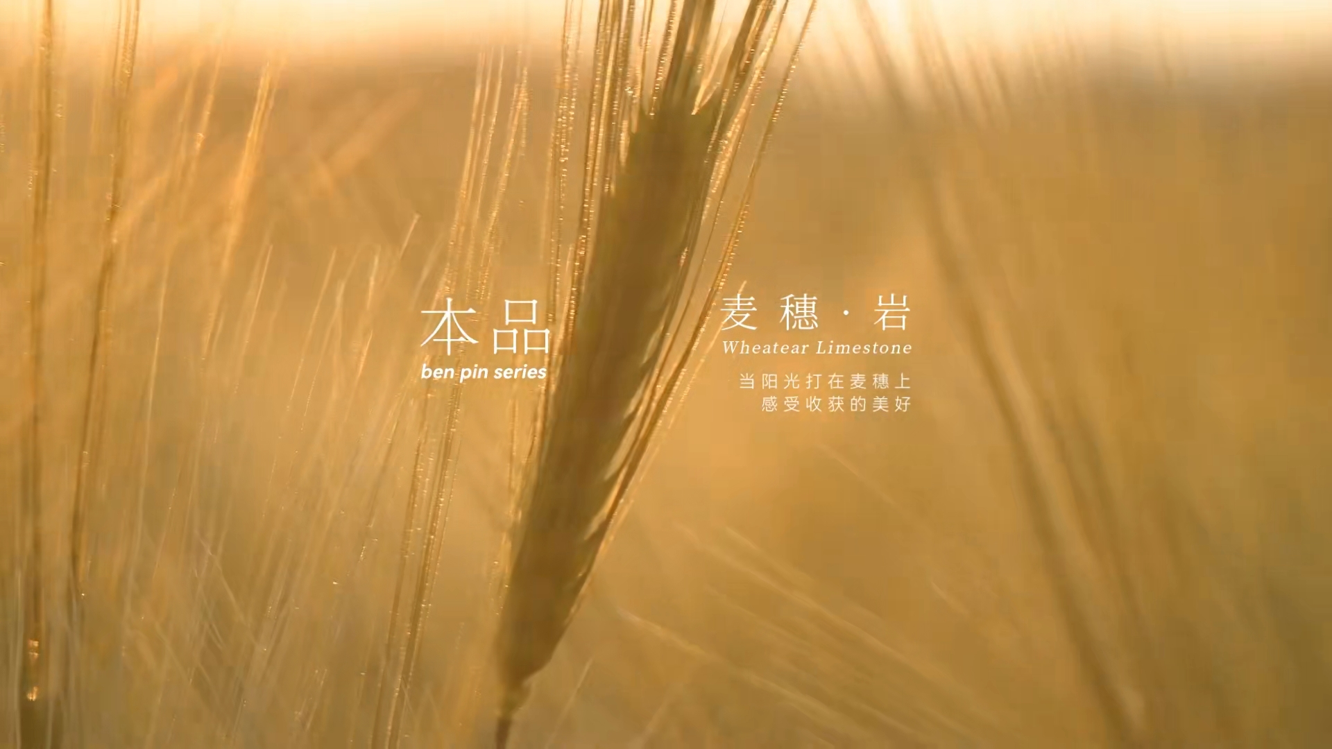 麥穗巖 TWK715620/1/2/3}