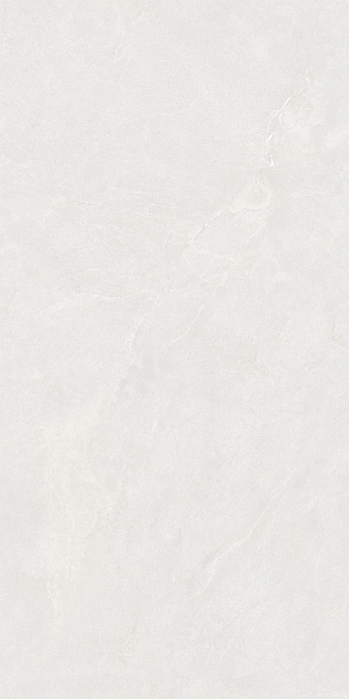 TWM612319S (1)