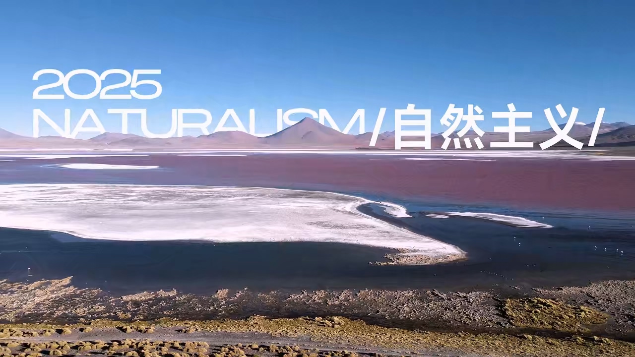 自然主義 | 宏觀感知，微觀構造 }