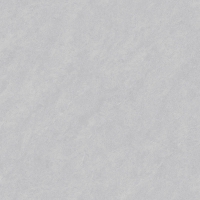TWM88619S-6