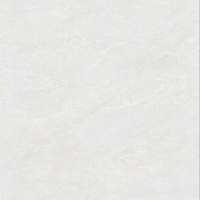 TWM612319S (5)